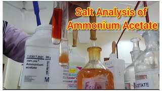 Salt Analysis of Ammonium Acetate saltanalysis chemistryclass12 chemistrypracticals [upl. by Nahgen693]