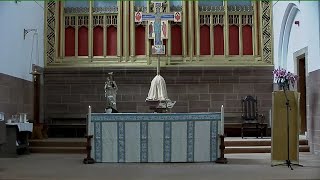 Evening Mass Tuesday 12 November 2024 Kensington Carmelite Church London [upl. by Robillard]