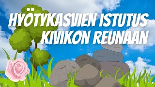 Hyötykasvien istutus kivikon reunalle [upl. by Ahtekal]