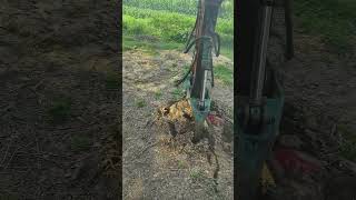 tree roots mechanically pulling process [upl. by Yentyrb]