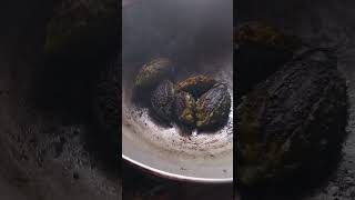 Tasty Karela bharwayoutubeshorts food trending viralshort [upl. by Ylle238]