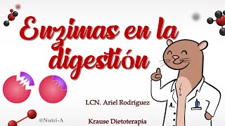 ¿Que ENZIMAS hay en la DIGESTIÓN  Enzimas en el Sistema Digestivo en Nutrición [upl. by Soloma]