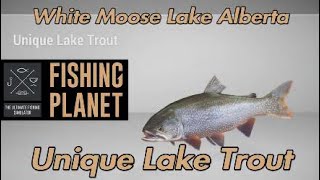 Fishing Planet  Unique Lake Trout  White Moose Lake Alberta [upl. by Aeduj]