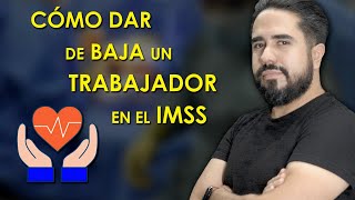 Cómo dar de baja un trabajador en el IMSS [upl. by Lokkin]