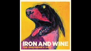 3000 Best Albums 2131 Iron amp Wine  The Shepherds Dog 2007 Dans Mini Album Review [upl. by Lexie747]