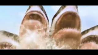 5 HEADED SHARK ATTACK  MUSIC VIDEO [upl. by Tegirb431]