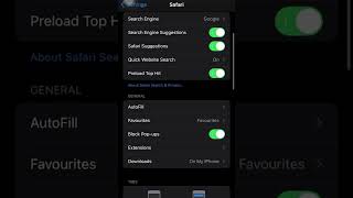 Enable Cookies in iPhone iphone shorts [upl. by Uttasta209]