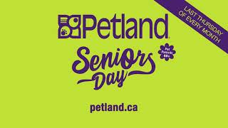 Petland Seniors Day Commercial 2024 [upl. by Odrude]