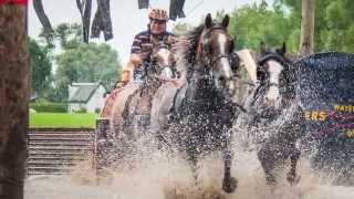 Paarden marathon Driezum  Wâlterswâld 25 juli 2014 [upl. by Edrahc]