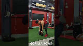 GORILLA ROWS fitness functionalrehab functionaltraining fit viral lifehacks [upl. by Ainimreh975]