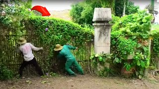 Reviving An Abandoned House With A Secret Gate That Scares Neighbors  Cleaning amp Mowing  Clean Up [upl. by Ardnal]