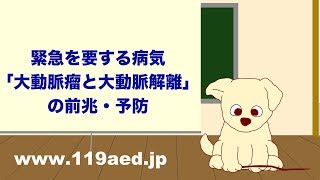 【52】緊急を要する病気「大動脈瘤と大動脈乖離」の前兆・予防 [upl. by Asena]