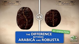 The differences between Arabica and Robusta coffee [upl. by Dis]