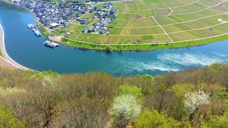 Moseldörfer im Frühling Briedern Mesenich EllenzPoltersdorf BruttigFankel Senhein Senhals [upl. by Howund]