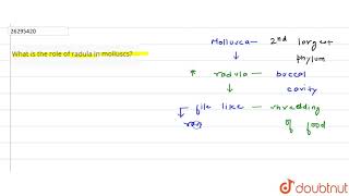 What is the role of radula in molluscs [upl. by Latsirhc807]