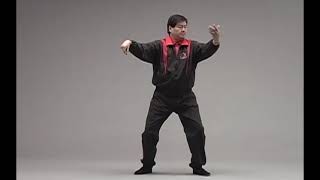 Wu Kwong Yu Short Form demo [upl. by Stephenie236]