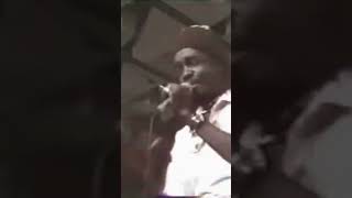 Peter Tosh  400 Years Live 🇯🇲🌴🇯🇲 shorts wailers tosh [upl. by Aoket]