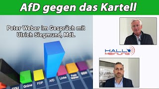 AfD gegen das Kartell [upl. by Gerianne]