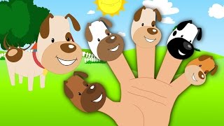 Dog Finger Family Nursery Rhyme Song  Childrens And Kids Rhyme [upl. by Ydniw]