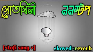 Srotoshini🥺💔 স্রোতস্বিনী ENCOREslowedreverbBangla sad song lofi music lyrics 2024 [upl. by Enilorac90]