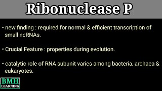 RNAse P  Ribonuclease P  Types Of RNAses [upl. by Clio]