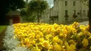 Dermot Cavanagh is Awash with Colour in Moy Co Tyrone Part 1 [upl. by Okir767]