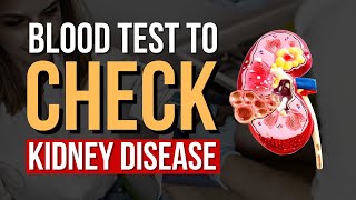 Understanding Kidney Health What is GFR and Normal GFR Range  Kidney Disease Blood Test Explained [upl. by Aleinad883]