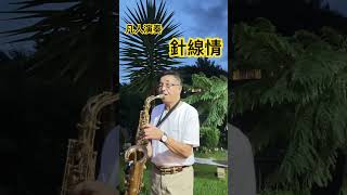 針線情凡人演奏 [upl. by Ann]