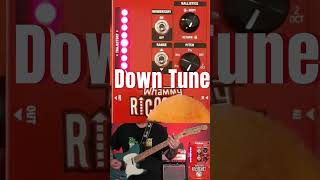 Digitech Whammy Ricochet guitar guitaraccessories guitareffects whammy tommorello digitech [upl. by Ahsitram532]