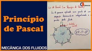 El principio de Pascal o ¿Cómo multiplicar tu fuerza [upl. by Igig]