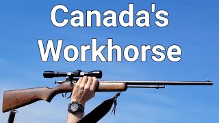 Cooey 22 Caliber Rifle is Canadas Workhorse Rifle  Model 60  600  Cooey Canuck [upl. by Fulmer]