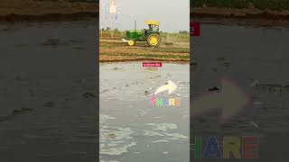 John Deere tractorJohn Deereshortsfeedshortsviral [upl. by Rebah]