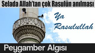 Sela örneği üzerinden peygamber algısı [upl. by Ayle]