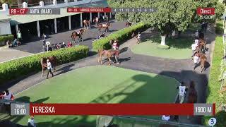 Live Hippodrome « CASABLANCA »  Courses du « 01112024 » [upl. by Donnamarie]