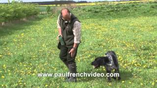 HPR Gundog Tips Part 1  Retrieving across a ditch with Rory Major [upl. by Stenger250]