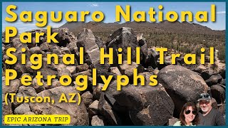 Hiking Saguaro National Park  Signal Hill Trail Petroglyphs [upl. by Atiken]