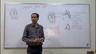 Pathophysiology of Congestive Heart Failure Clinical Manifestations of CCF Bsc Nursing 2nd Year [upl. by Drazze]