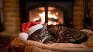 Chat de Noël qui dort en ronronnant devant une cheminée ASMR 🐱🎅🏼🔥 [upl. by Glinys]