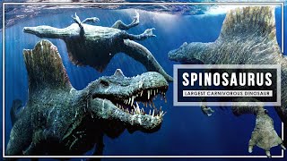 Spinosaurus  The Largest Predator Of The Cretaceous Period  Dinosaur Documentary [upl. by Tsugua569]