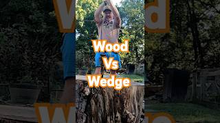 Wood vs wedge firewood splittingfirewood friends [upl. by Timon]