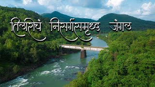 कोंकणातील तिलारीच निसर्गसमृध्द जंगल  Vanoshi Forest Homestay  Tilari Forest  Tilari jungle resort [upl. by Aiam141]