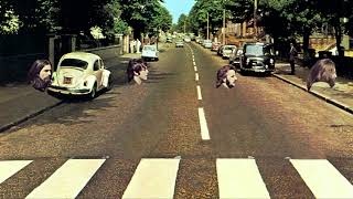 The Beatles  Abbey Road Medley But Its Only Vocals [upl. by Rexanna]