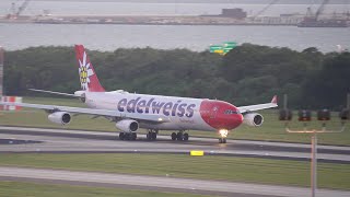 Edelweiss Airlines Airbus A340300 departing TPA 4k [upl. by Veno38]