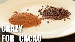 Cacao  Superfood  Healthy Recipes [upl. by Eidas]