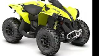 2020 CanAm Renegade 570 Renegade  Falconer NY [upl. by Adnocahs]