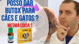 Posso dar butox para cães e gatos [upl. by Schuster]