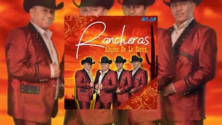 Alegres Rancheras De La Sierra  Rancheras Mix [upl. by Merrow]