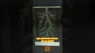 ¡Así es Cómo la Electricidad Transforma Vidrio en Algo Increíble datocurioso curiosidades [upl. by Hteboj]