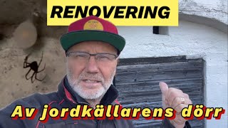 Renoverar dörren till jordkällaren amp kollar in vår vaktarme’ som vaktar godsakerna i den 😬🕷️ [upl. by Salvucci]