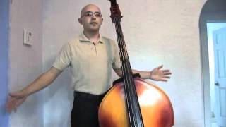 How to Hold an Upright Bass  Bass Techniques with Colin [upl. by Ramas564]